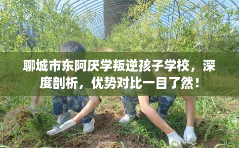 聊城市东阿厌学叛逆孩子学校,深度剖析,优势对比一目了然! 聊城市东阿厌学叛逆孩子学校,深度剖析,优势对比一目了然!