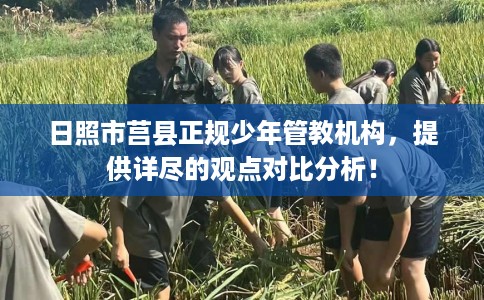 日照市莒县正规少年管教机构，提供详尽的观点对比分析！