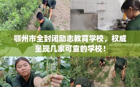 鄂州市全封闭励志教育学校，权威呈现几家可靠的学校！