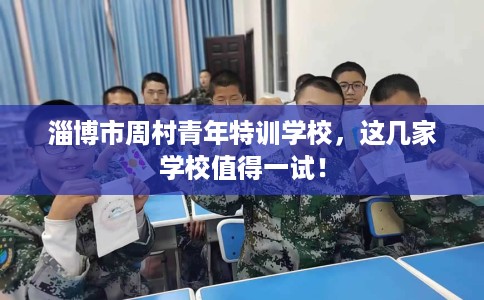 淄博市周村青年特训学校，这几家学校值得一试！