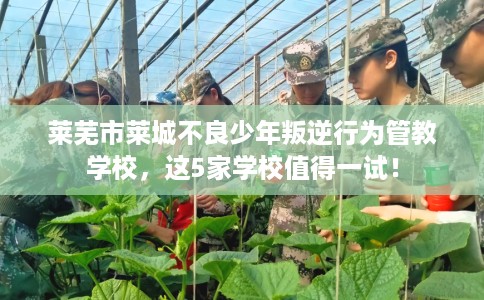 莱芜市莱城不良少年叛逆行为管教学校，这5家学校值得一试！