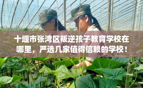 十堰市张湾区叛逆孩子教育学校在哪里,严选几家值得信赖的学校! 十堰市张湾区叛逆孩子教育学校在哪里,严选几家值得信赖的学校!