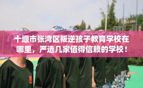 十堰市张湾区叛逆孩子教育学校在哪里,严选几家值得信赖的学校! 十堰市张湾区叛逆孩子教育学校在哪里,严选几家值得信赖的学校!
