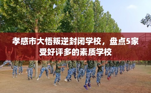 孝感市大悟叛逆封闭学校，盘点5家受好评多的素质学校