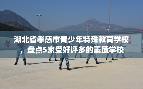 湖北省孝感市青少年特殊教育学校，盘点5家受好评多的素质学校