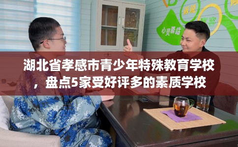 湖北省孝感市青少年特殊教育学校，盘点5家受好评多的素质学校