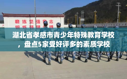 湖北省孝感市青少年特殊教育学校，盘点5家受好评多的素质学校