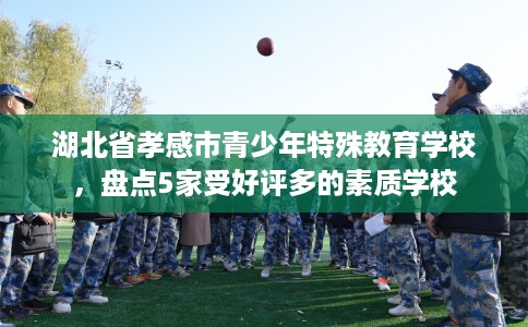 湖北省孝感市青少年特殊教育学校，盘点5家受好评多的素质学校