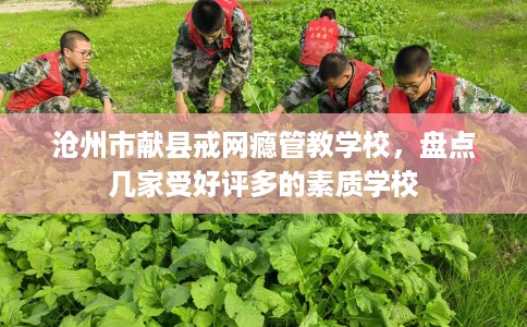 沧州市献县戒网瘾管教学校，盘点几家受好评多的素质学校