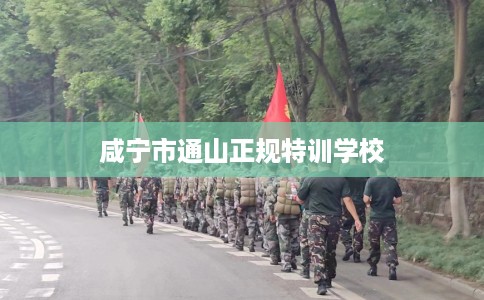 咸宁市通山正规特训学校 咸宁市通山正规特训学校