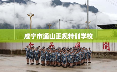 咸宁市通山正规特训学校 咸宁市通山正规特训学校