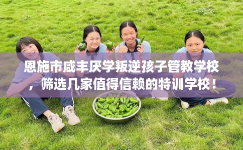 恩施市咸丰厌学叛逆孩子管教学校,筛选几家值得信赖的特训学校! 恩施市咸丰厌学叛逆孩子管教学校,筛选几家值得信赖的特训学校!