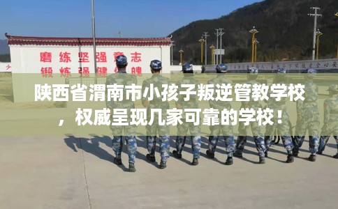 陕西省渭南市小孩子叛逆管教学校,权威呈现几家可靠的学校! 陕西省渭南市小孩子叛逆管教学校,权威呈现几家可靠的学校!