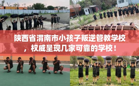 陕西省渭南市小孩子叛逆管教学校,权威呈现几家可靠的学校! 陕西省渭南市小孩子叛逆管教学校,权威呈现几家可靠的学校!