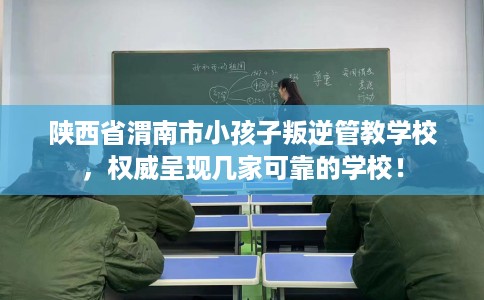 陕西省渭南市小孩子叛逆管教学校,权威呈现几家可靠的学校! 陕西省渭南市小孩子叛逆管教学校,权威呈现几家可靠的学校!