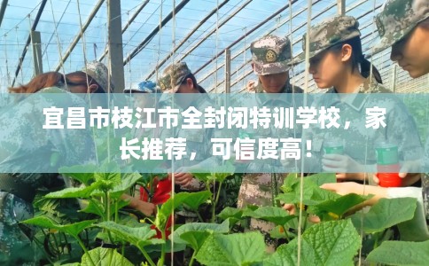 宜昌市枝江市全封闭特训学校，家长推荐，可信度高！