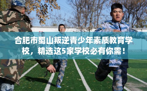 合肥市蜀山叛逆青少年素质教育学校，精选这5家学校必有你需！