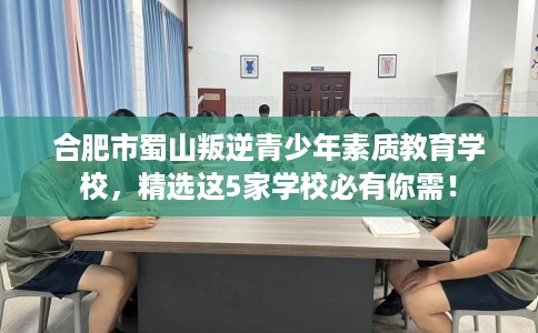 合肥市蜀山叛逆青少年素质教育学校，精选这5家学校必有你需！