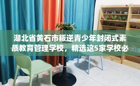 湖北省黄石市叛逆青少年封闭式素质教育管理学校，精选这5家学校必有你需！