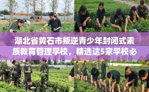 湖北省黄石市叛逆青少年封闭式素质教育管理学校，精选这5家学校必有你需！