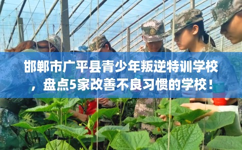 邯郸市广平县青少年叛逆特训学校，盘点5家改善不良习惯的学校！