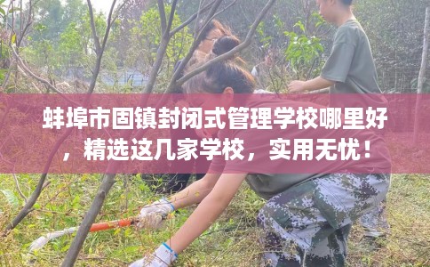 蚌埠市固镇封闭式管理学校哪里好，精选这几家学校，实用无忧！