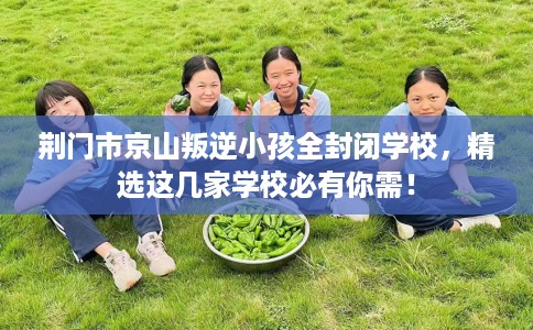荆门市京山叛逆小孩全封闭学校，精选这几家学校必有你需！
