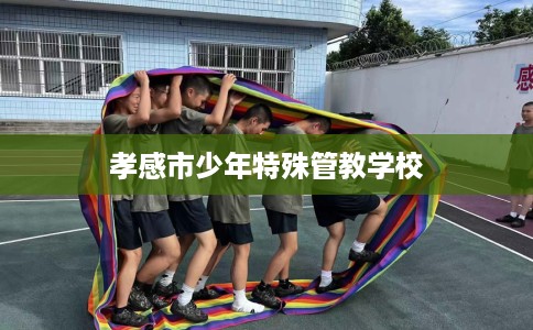 孝感市少年特殊管教学校