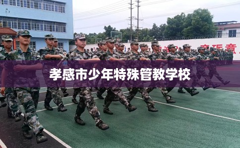 孝感市少年特殊管教学校