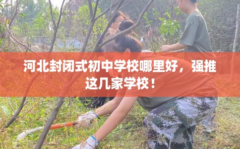 河北封闭式初中学校哪里好，强推这几家学校！