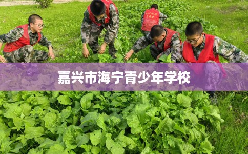 嘉兴市海宁青少年学校