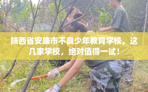 陕西省安康市不良少年教育学校，这几家学校，绝对值得一试！