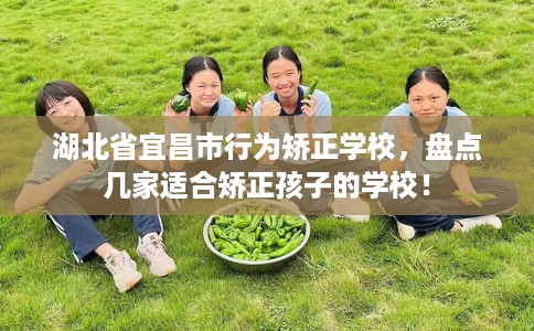 湖北省宜昌市行为矫正学校，盘点几家适合矫正孩子的学校！