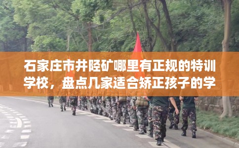 石家庄市井陉矿哪里有正规的特训学校，盘点几家适合矫正孩子的学校！
