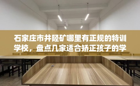 石家庄市井陉矿哪里有正规的特训学校，盘点几家适合矫正孩子的学校！