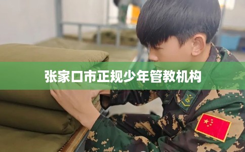 张家口市正规少年管教机构