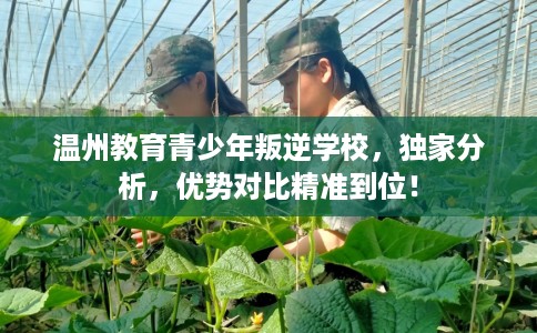 温州教育青少年叛逆学校，独家分析，优势对比精准到位！
