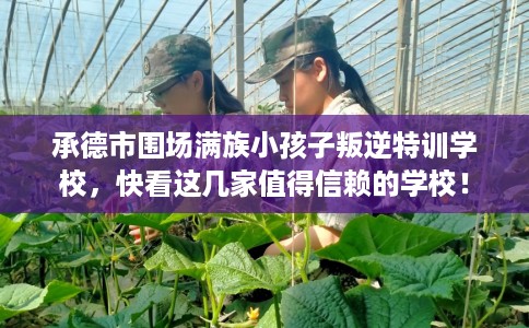 承德市围场满族小孩子叛逆特训学校，快看这几家值得信赖的学校！