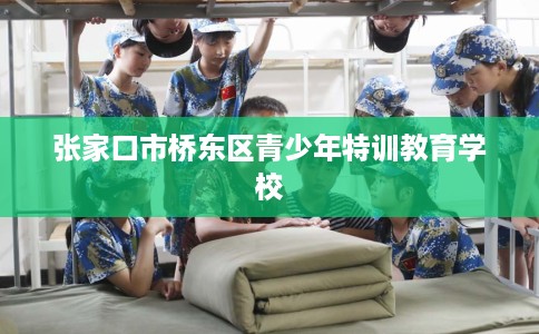 张家口市桥东区青少年特训教育学校