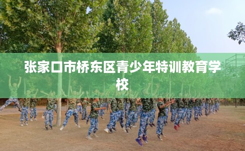 张家口市桥东区青少年特训教育学校