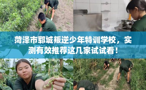 菏泽市郓城叛逆少年特训学校，实测有效推荐这几家试试看！