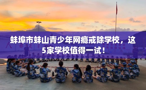 蚌埠市蚌山青少年网瘾戒除学校，这5家学校值得一试！