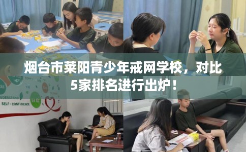 烟台市莱阳青少年戒网学校，对比5家排名进行出炉！