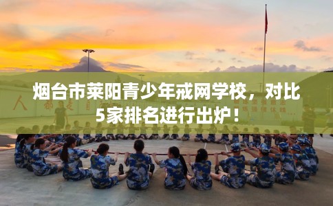 烟台市莱阳青少年戒网学校，对比5家排名进行出炉！
