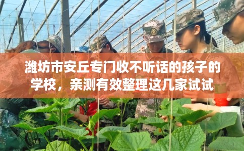 潍坊市安丘专门收不听话的孩子的学校,亲测有效整理这几家试试 潍坊市安丘专门收不听话的孩子的学校,亲测有效整理这几家试试