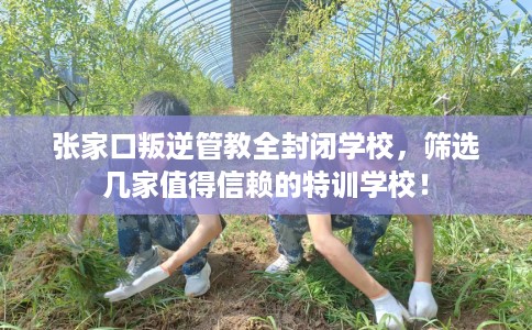张家口叛逆管教全封闭学校，筛选几家值得信赖的特训学校！