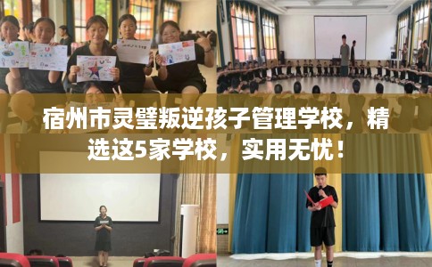 宿州市灵璧叛逆孩子管理学校，精选这5家学校，实用无忧！