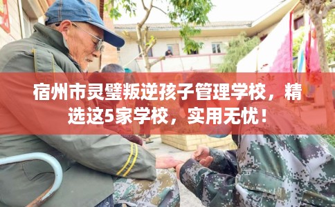 宿州市灵璧叛逆孩子管理学校，精选这5家学校，实用无忧！