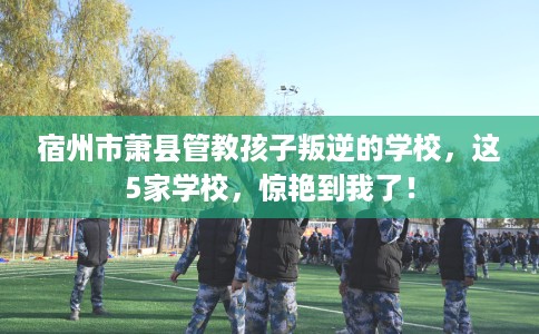 宿州市萧县管教孩子叛逆的学校，这5家学校，惊艳到我了！