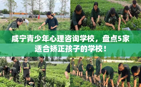 咸宁青少年心理咨询学校，盘点5家适合矫正孩子的学校！
